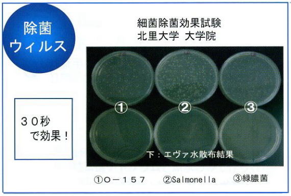 エヴァ水殺菌力テスト O157 サルモネ菌 緑膿菌