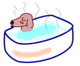 �y�b�g�̓����@�A�g�s�[�΍�