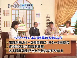 �V�W���E���e���r�����摜�Q